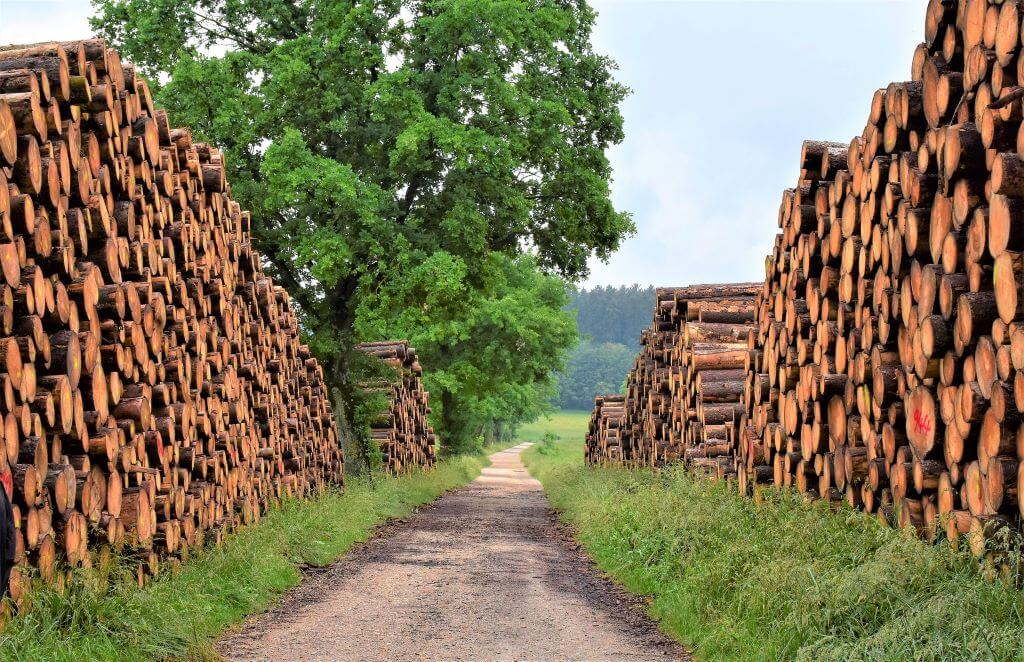 bien vendre le bois de sa foret
